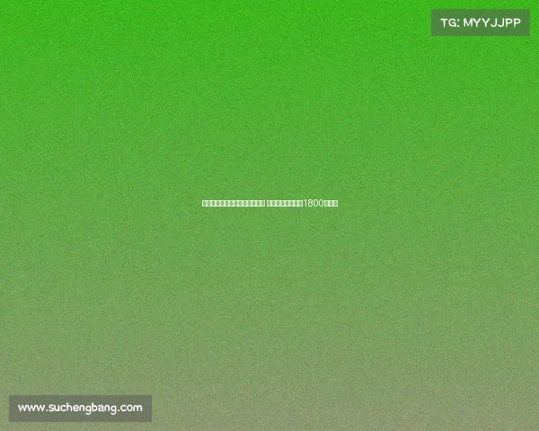 小维阿将以租后买方式加盟马赛 转会总费用预计超1800万欧元